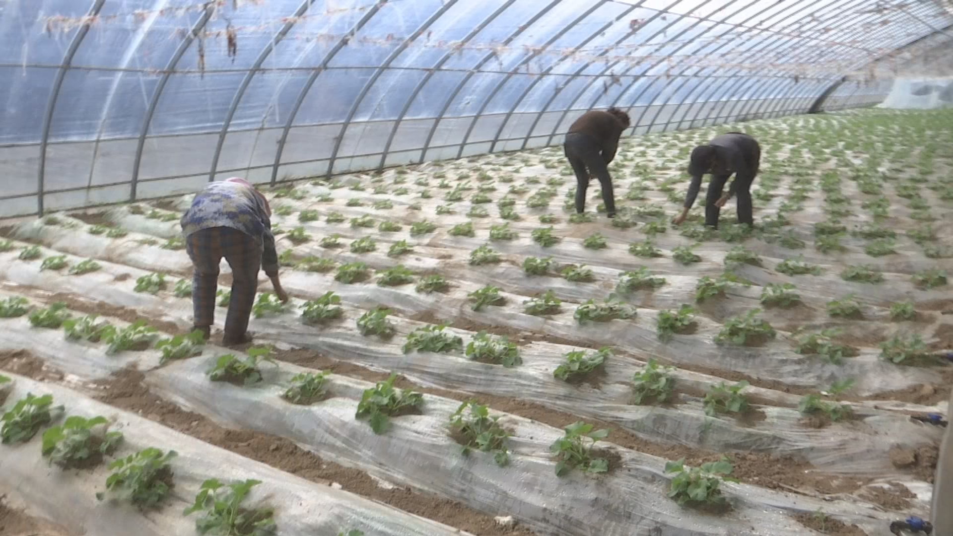 1773023771982067335.jpg 截图图片1548.jpg