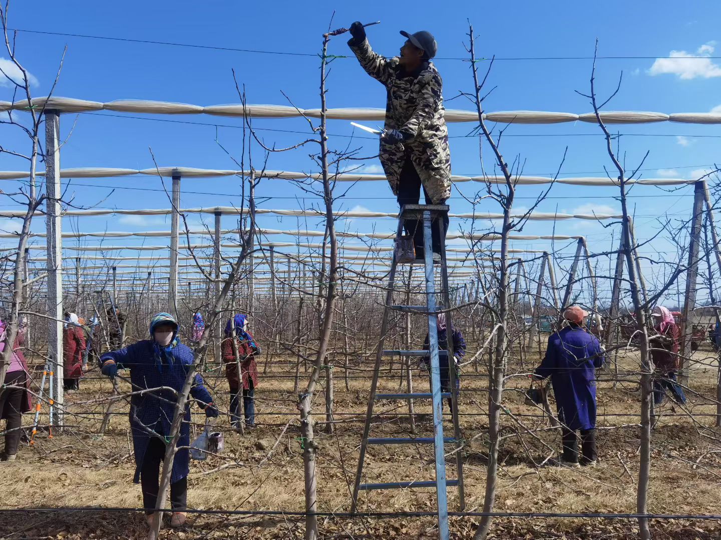 1773277802822020260.jpg f277c9bb7773641400533dede15b1edc.jpg