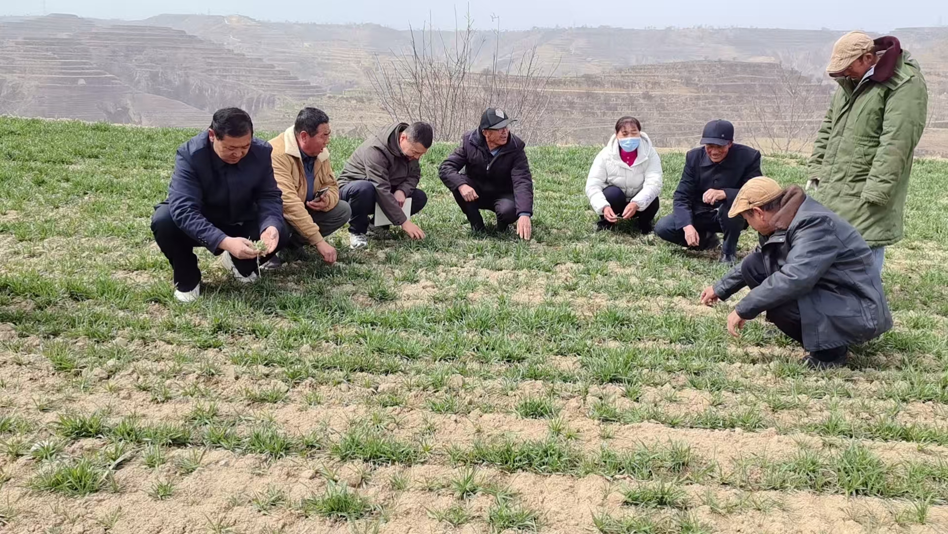 1773903279115064206.jpg 032.jpg