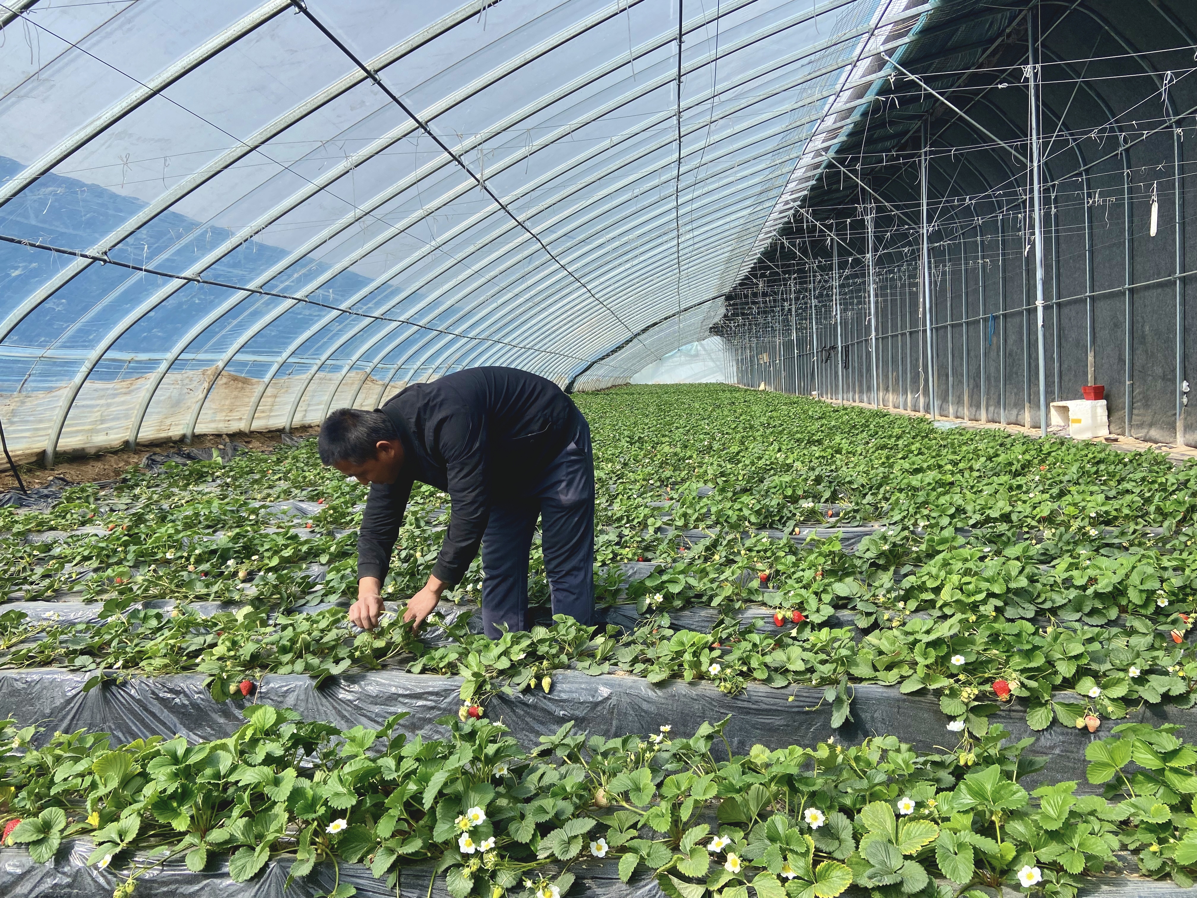 1773904155582073935.jpg 970c1cf0e62dfad6d0b99d177f8a1b4a.jpg