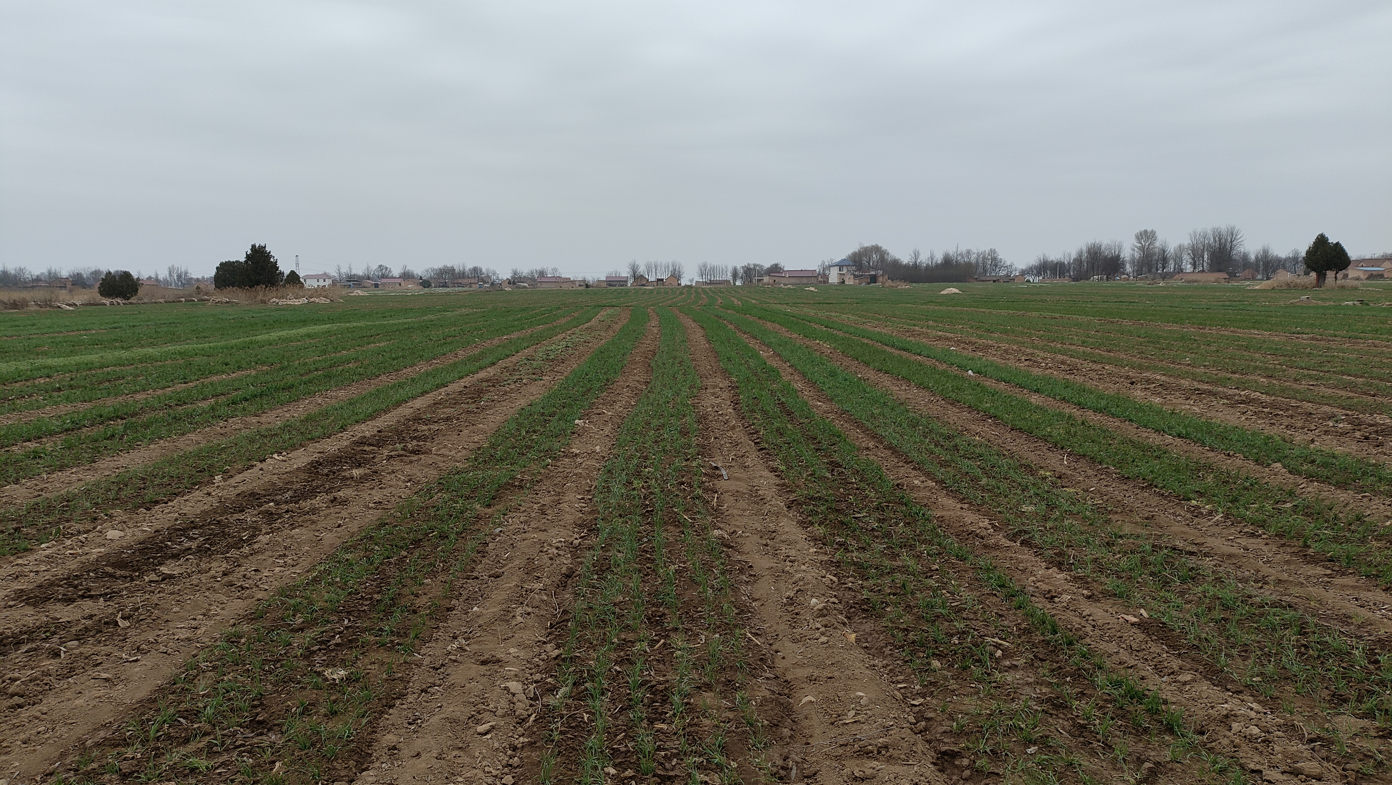 1774336290794098747.jpg a03fc694a52b4ef5fe899abd7e5c15ef.jpg